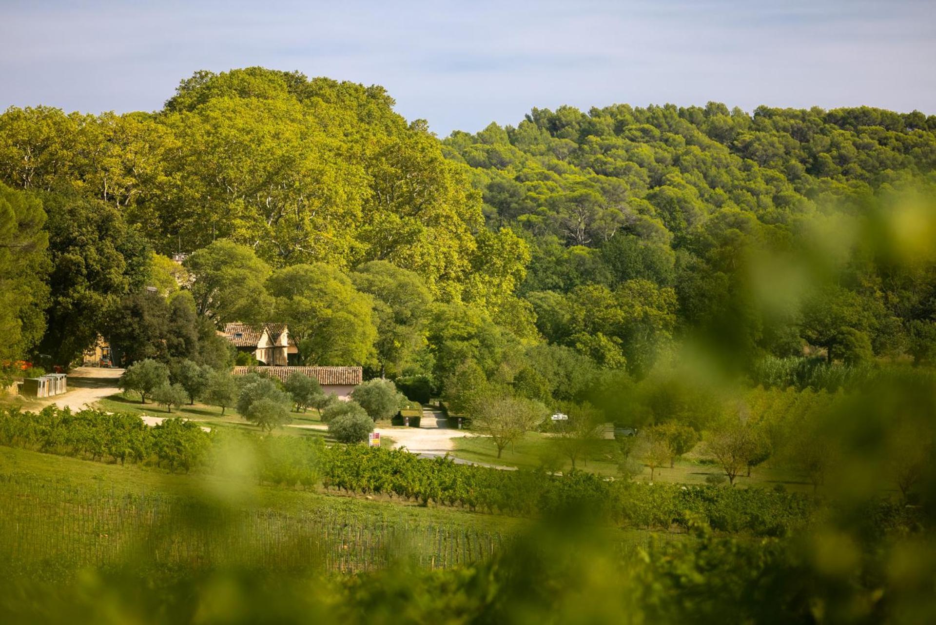 Chateau Mentone Masseboeuf Zewnętrze zdjęcie